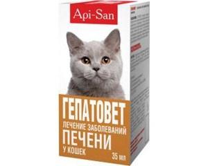 kediler için hepatit